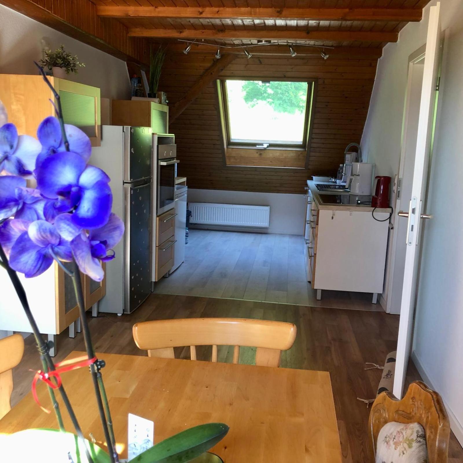 Ferien Im Schwarzwald Freiamt Hotel Luaran gambar