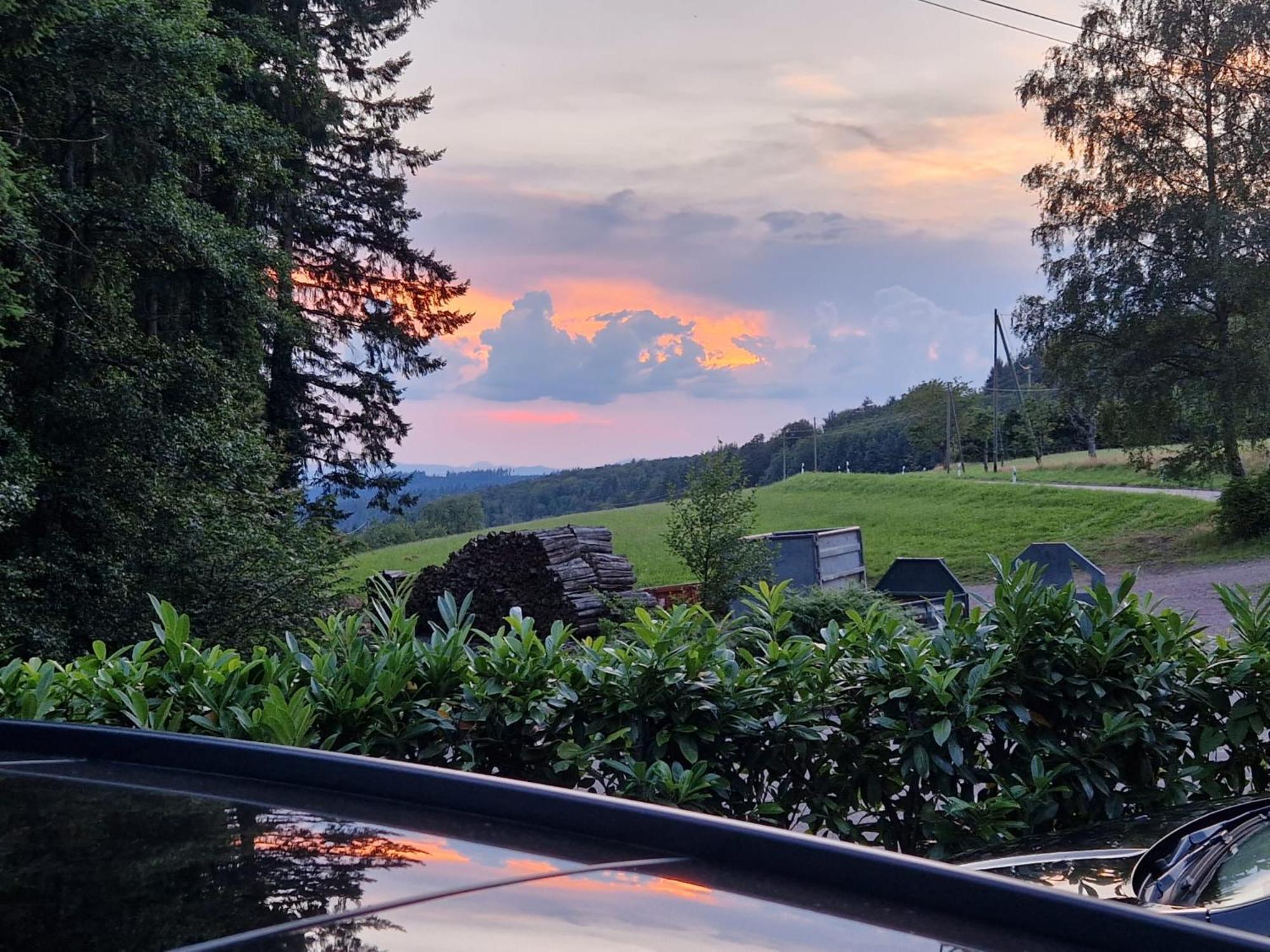 Ferien Im Schwarzwald Freiamt Hotel Luaran gambar