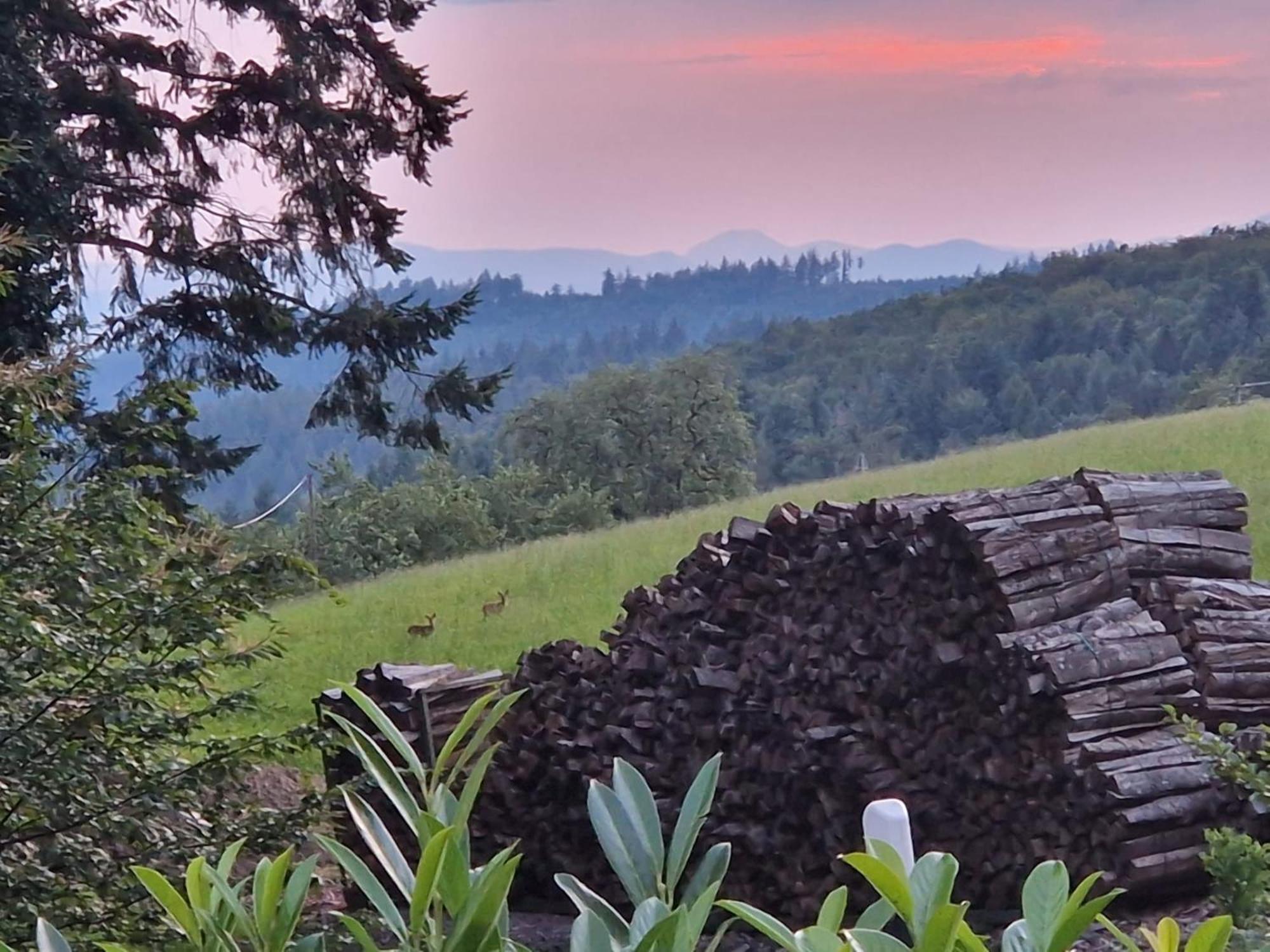 Ferien Im Schwarzwald Freiamt Hotel Luaran gambar