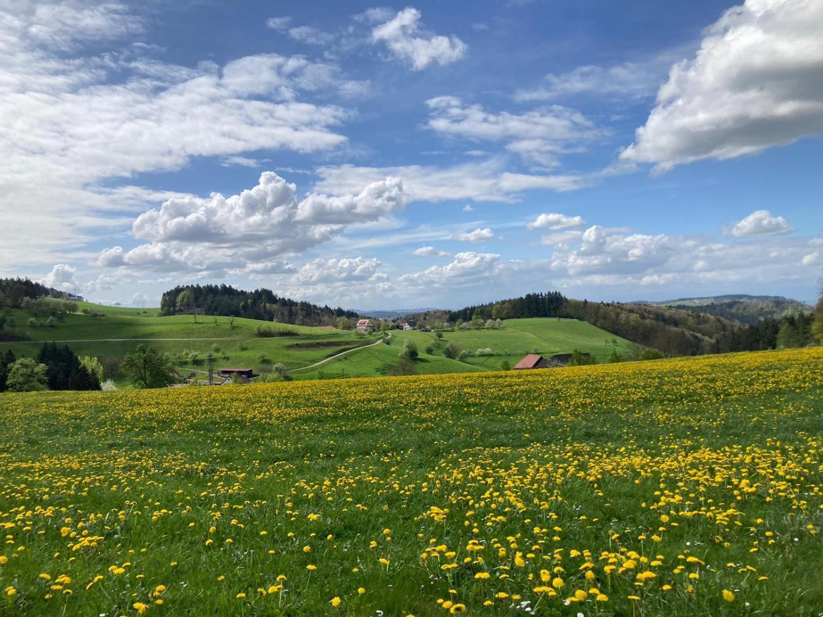 Ferien Im Schwarzwald Freiamt Hotel Luaran gambar