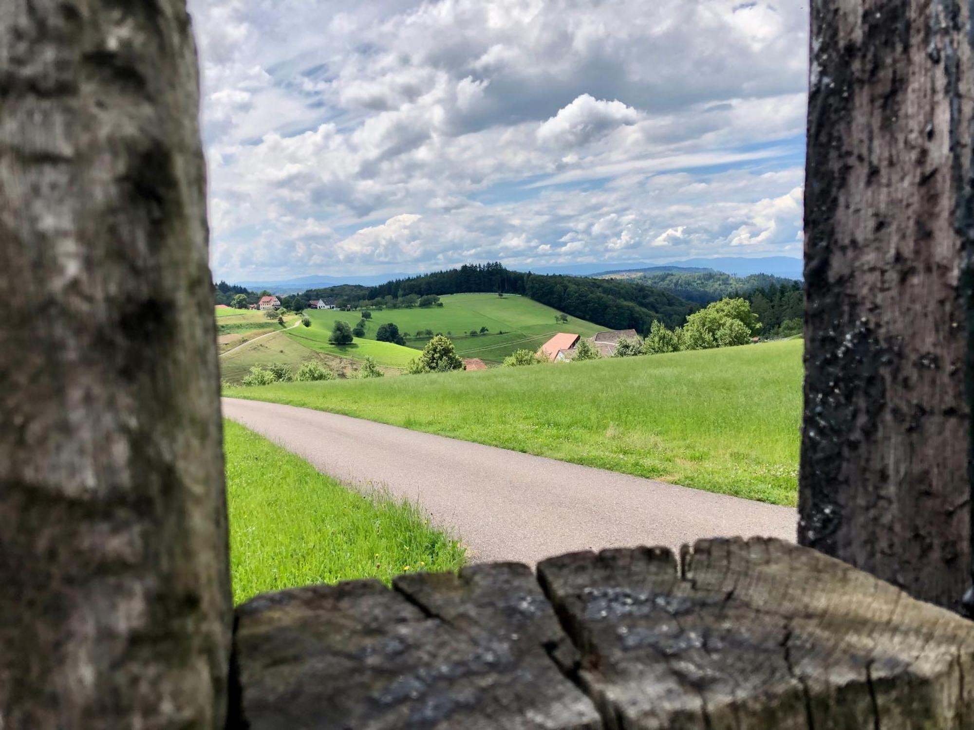Ferien Im Schwarzwald Freiamt Hotel Luaran gambar