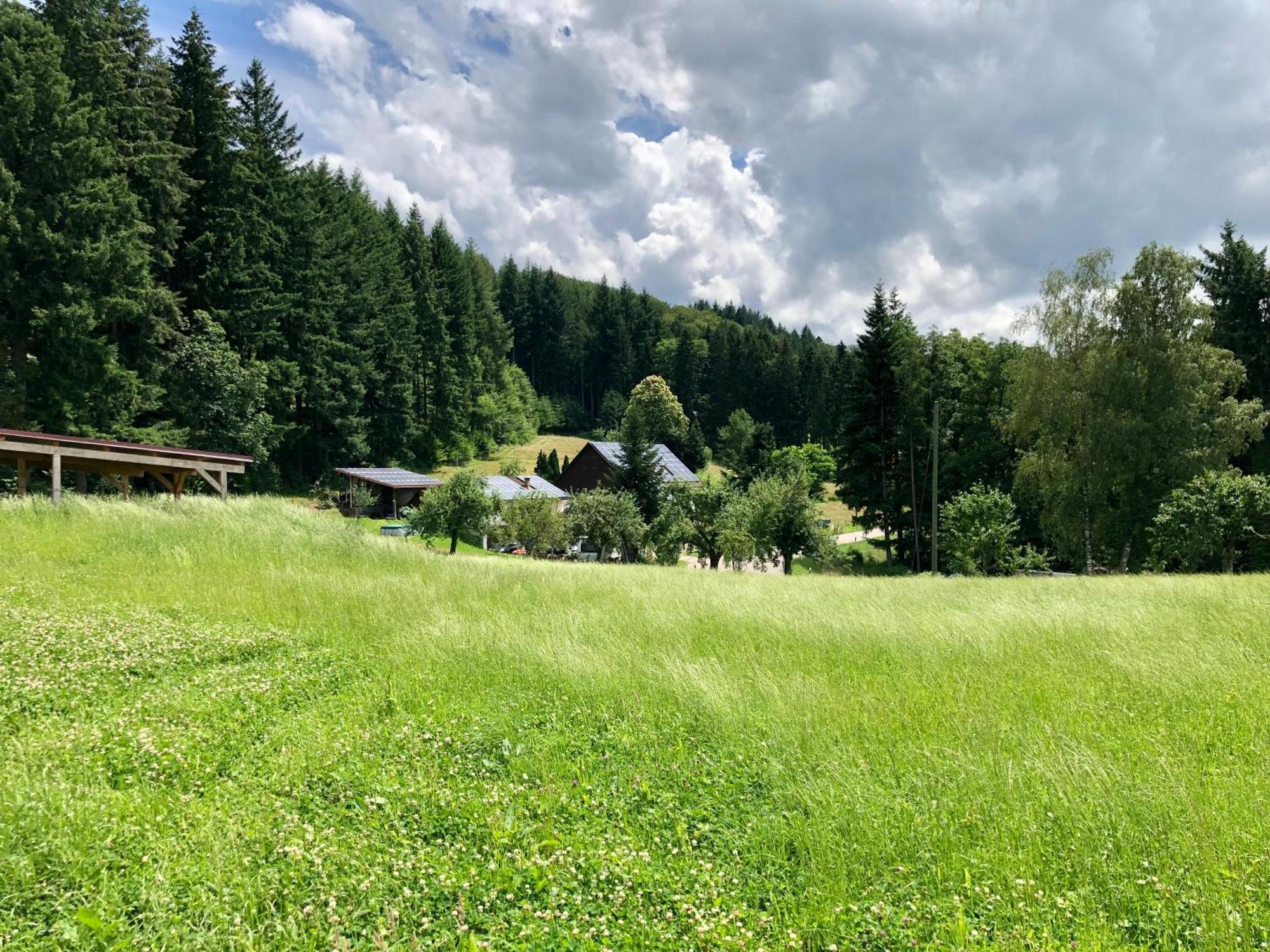 Ferien Im Schwarzwald Freiamt Hotel Luaran gambar