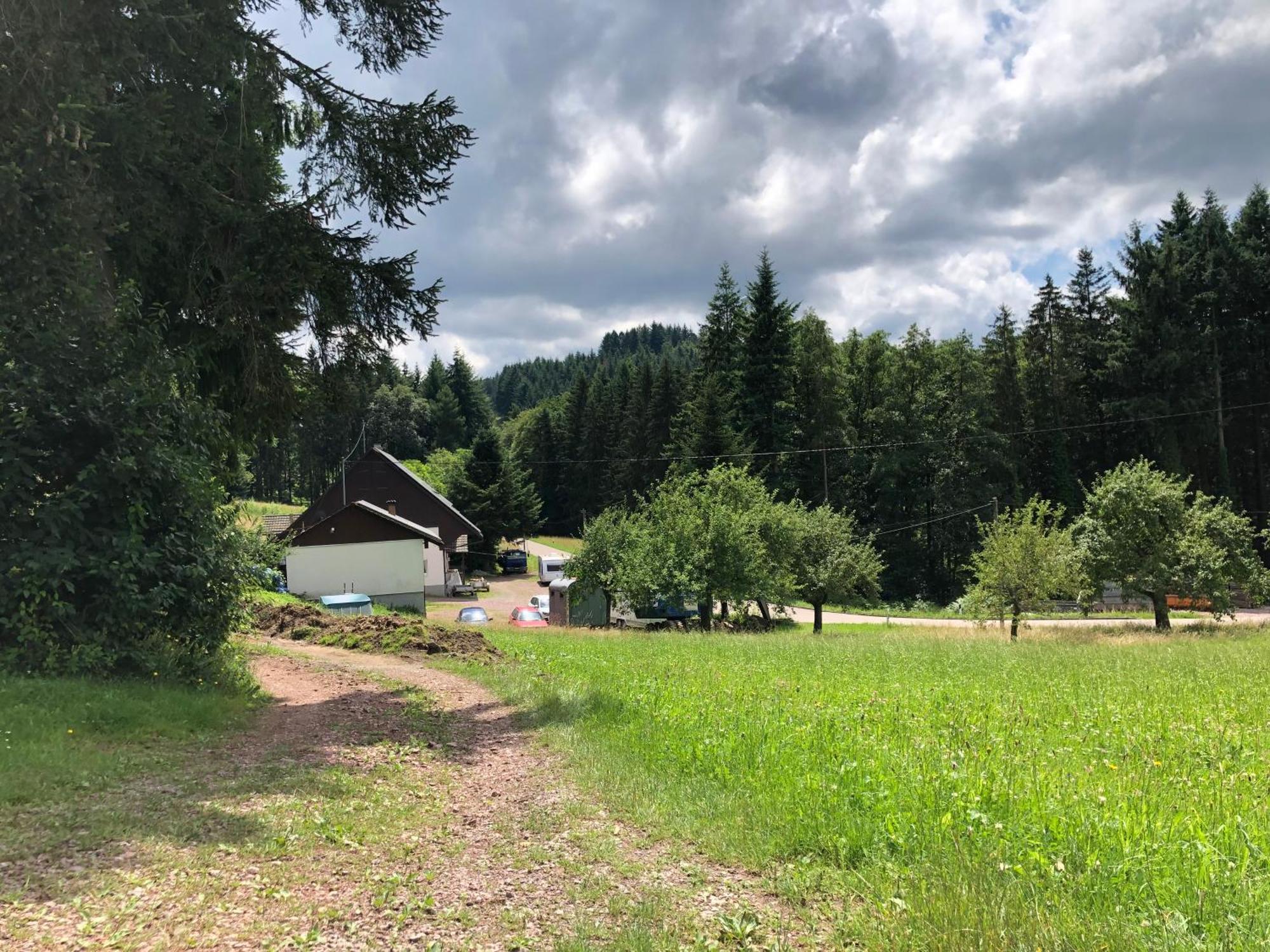 Ferien Im Schwarzwald Freiamt Hotel Luaran gambar