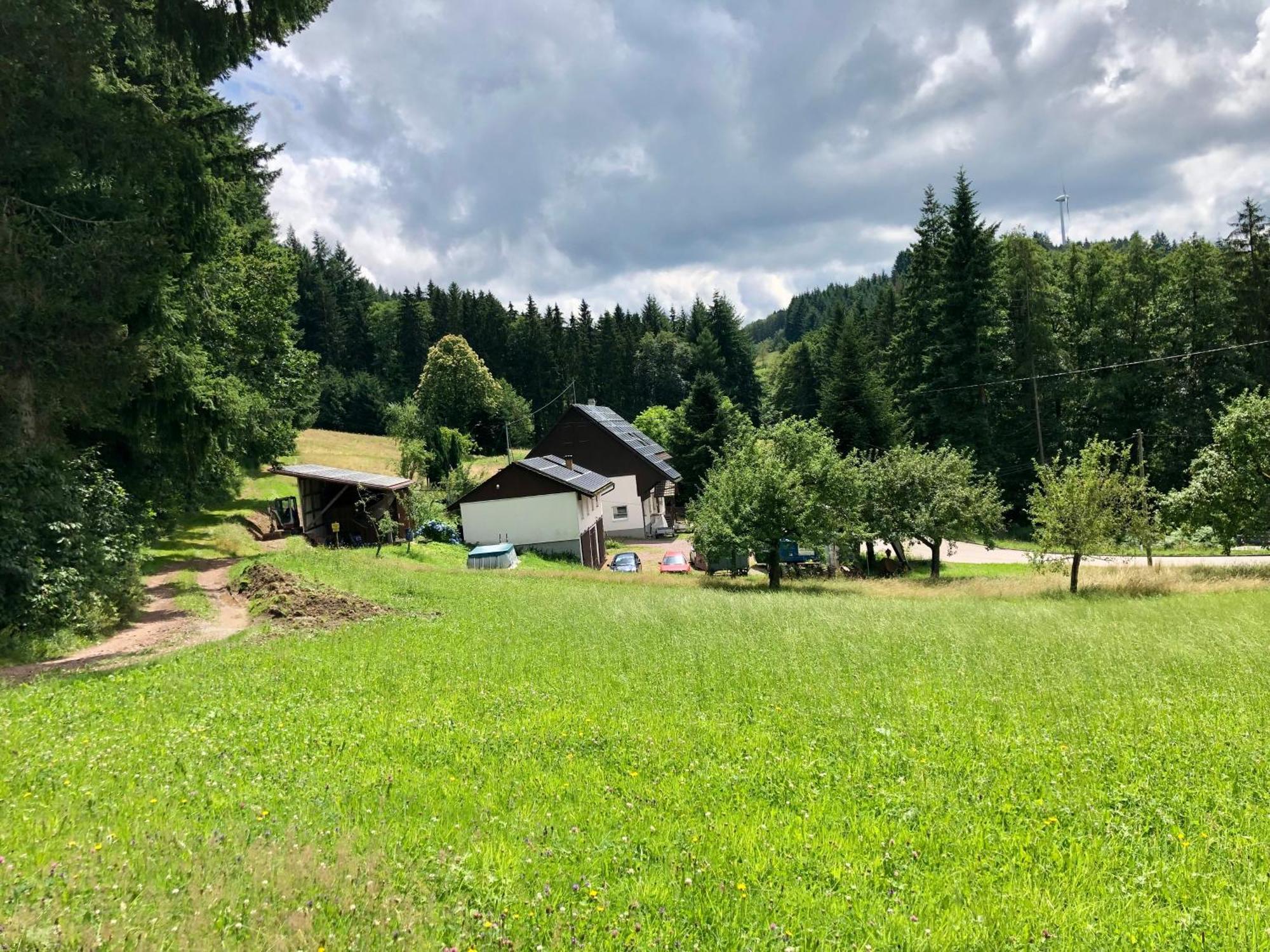 Ferien Im Schwarzwald Freiamt Hotel Luaran gambar