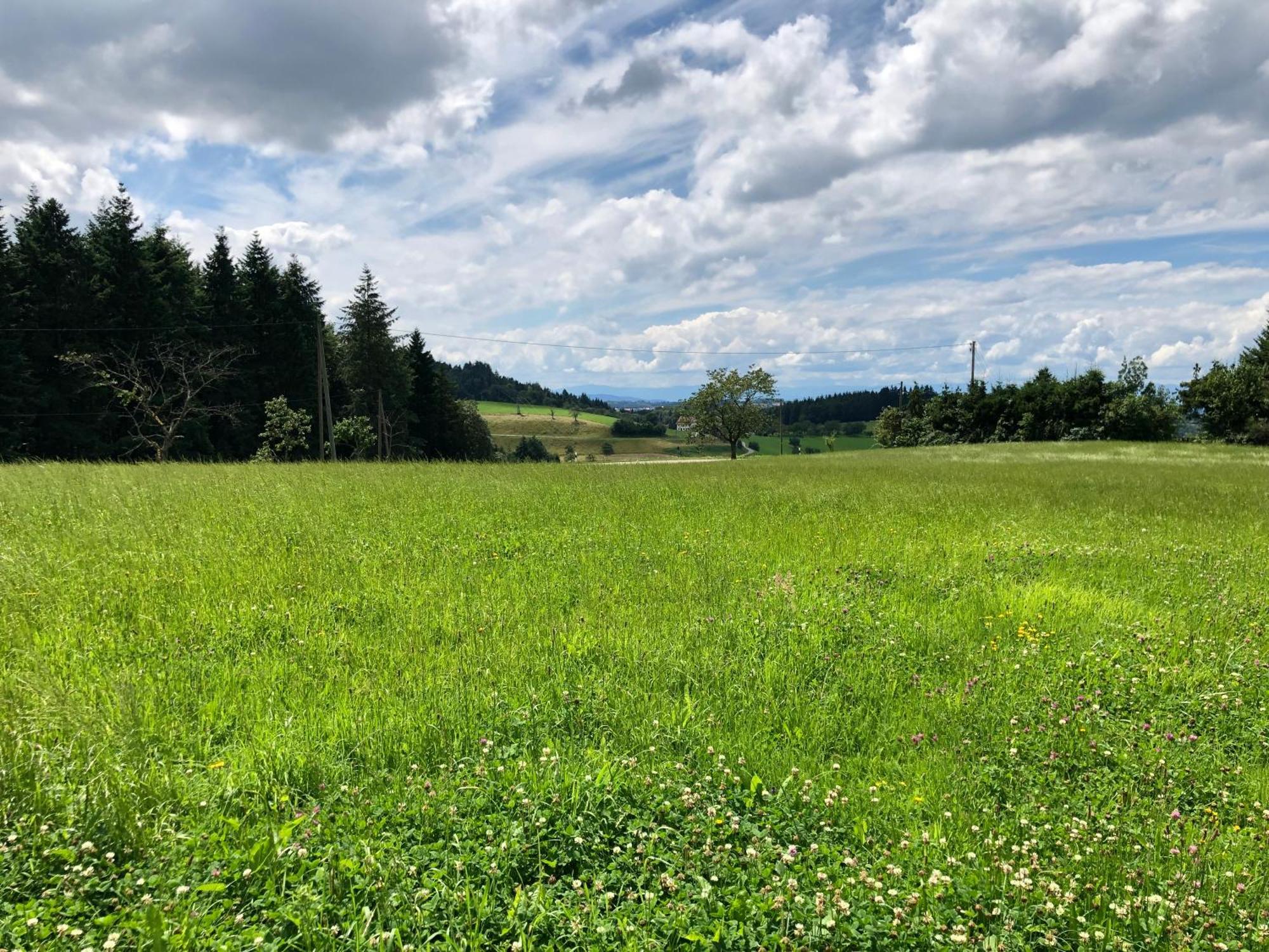 Ferien Im Schwarzwald Freiamt Hotel Luaran gambar