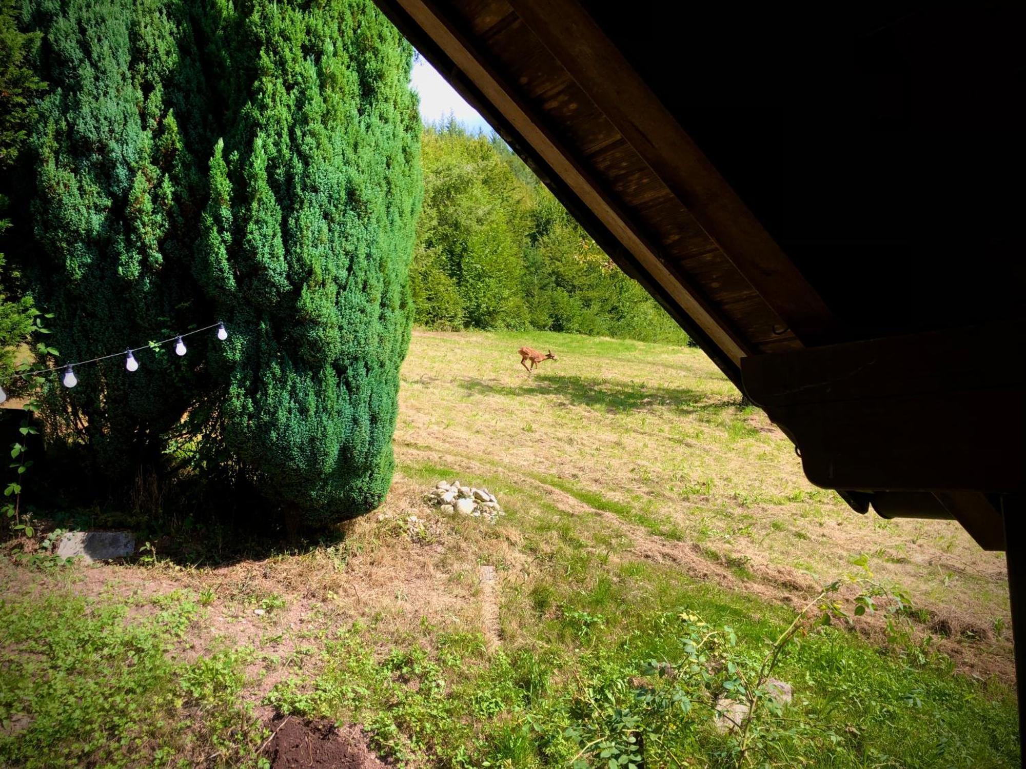 Ferien Im Schwarzwald Freiamt Hotel Luaran gambar