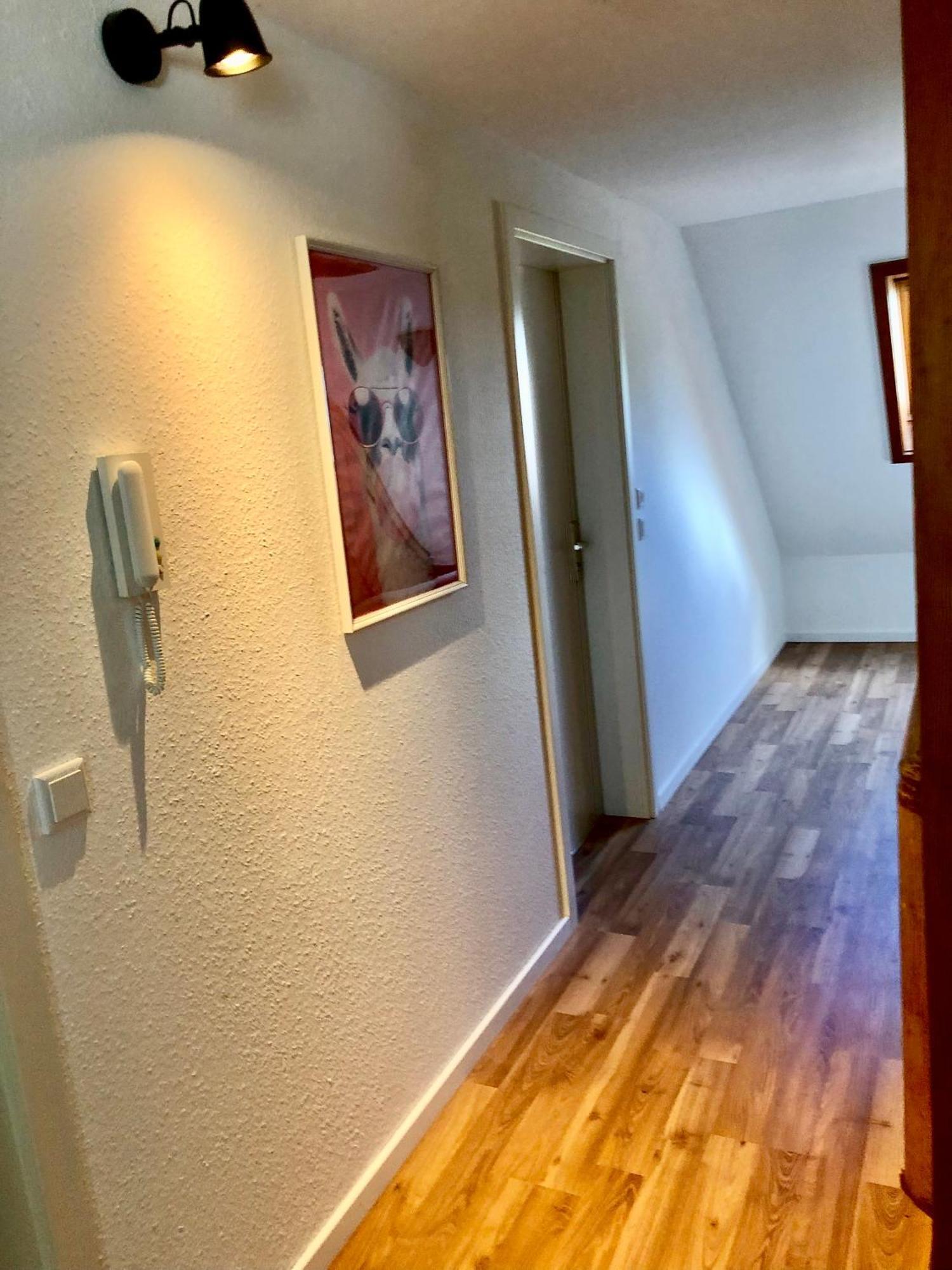 Ferien Im Schwarzwald Freiamt Hotel Luaran gambar